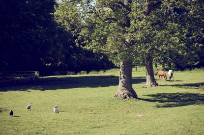 Countryside views at Spring House, Norfolk