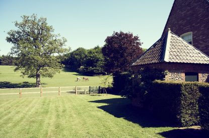 The garden at Spring House, Norfolk