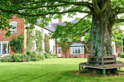 The garden at Spring House, Norfolk