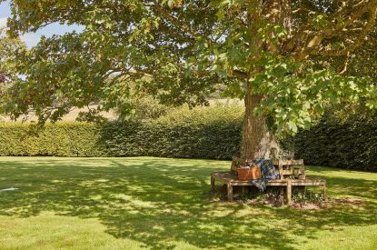 The garden at Spring House, Norfolk