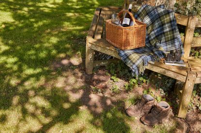 The garden at Spring House, Norfolk