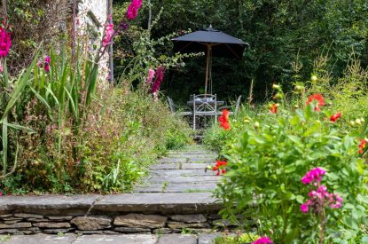 The garden at Butterfly Cottage, Somerset
