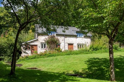 The garden at Butterfly Cottage, Somerset
