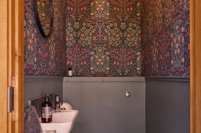 The downstairs cloakroom at Hall House, Powys