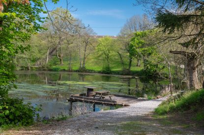 The lake at The Damson Barn, Staffordshire