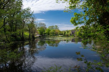 Lake views at The Damson Barn, Staffordshire
