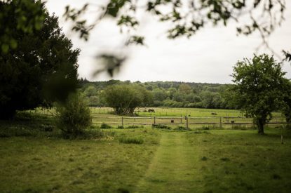 Countryside views at Amberley House, West Sussex