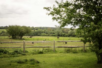 Countryside views at Amberley House, West Sussex