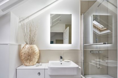 The bathroom at Albert Lodge, Welsh Borders
