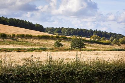 Countryside views at East Barn, Norfolk
