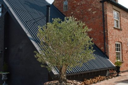 The outdoor space at Sutton Farmhouse, Leicestershire