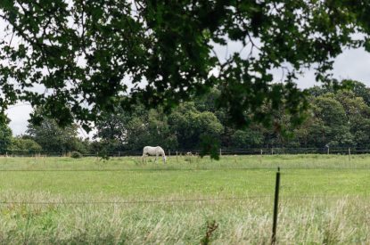The grounds at Pandora's Place, Leicestershire