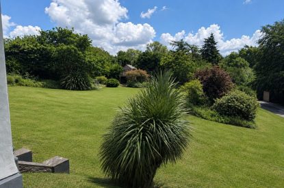 The garden at Bracken Grange, Ceredigion
