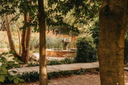The garden at Stoke Hall, Nottinghamshire
