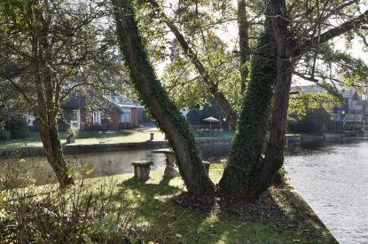 The river by Riverside View, Chiltern Hills