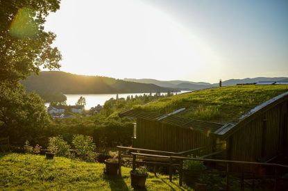 The garden at Silver Crescent House, Lake District