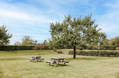 The garden at The Wainhouse Courtyard, Herefordshire 